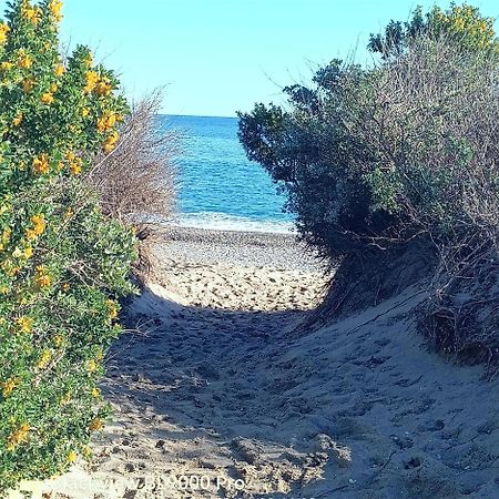 Mer Et Dune - Les Caravelles Saint-Cyprien  Dış mekan fotoğraf